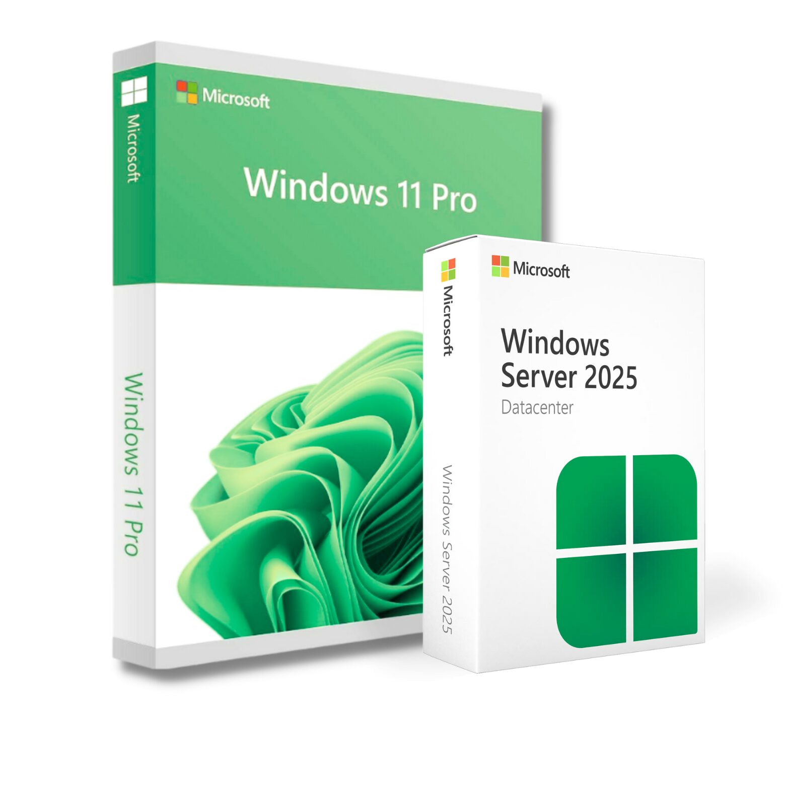 Windows 11 and Windows Server 2025 VPS